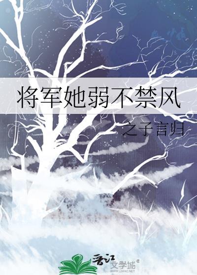 将军她弱不禁风推文