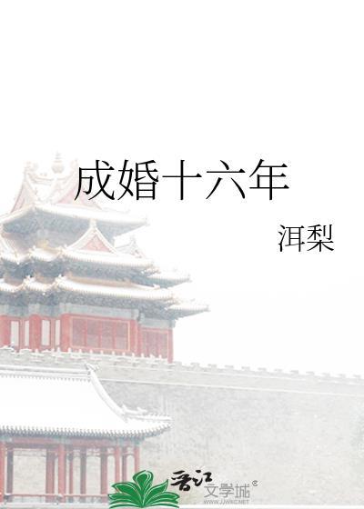 成婚十六年百度