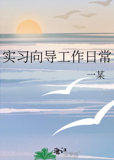 实习向导工作日常星岚