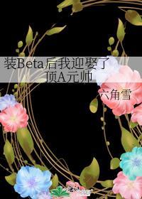 装Beta后我迎娶了顶A元帅 番外