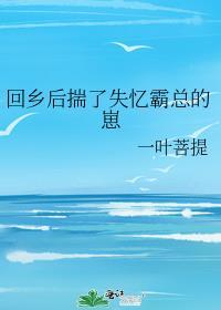 回乡后揣了失忆霸总的崽百度
