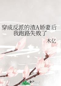 穿成反派他渣妻