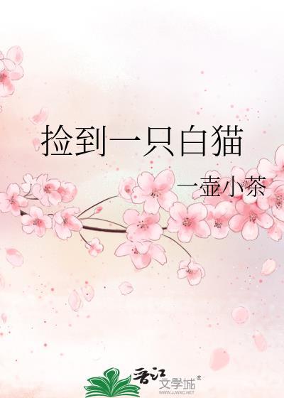 捡到一只白猫是好事还是坏事