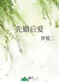 先婚后爱的推荐现言