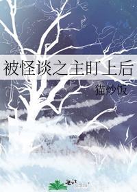 被怪盗盯上的日子