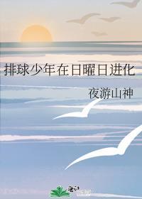 排球少年日曜日进化txt番外免费