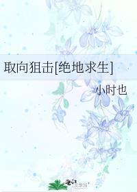 取向狙击全文