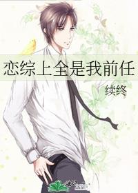 恋综上全是我前任 作者续终