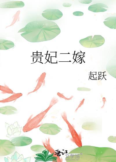 贵妃二嫁番外