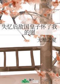 失忆后敌国皇子怀了我的崽