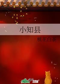小知县
