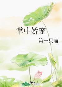 掌中娇宠
