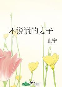 不说谎的妻子