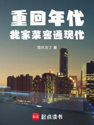 重回年代:我家菜窖通现代