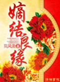 嫡结良缘(穿越之锦绣良缘)