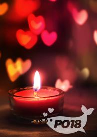 仅你可见(NP 坏女人)